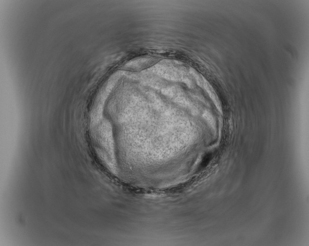 X0000112790961200910021056