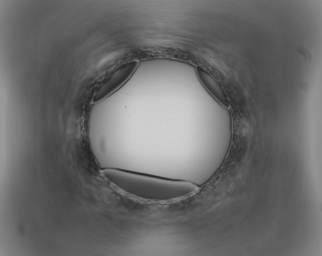 X0000112790965200910021056