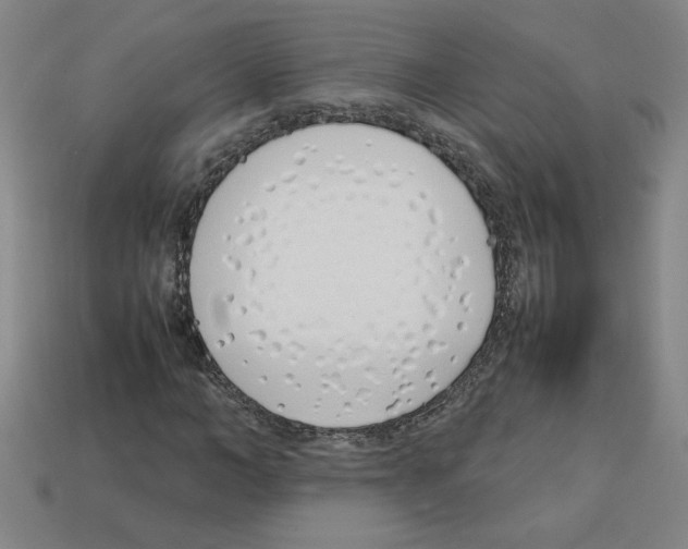 X0000112790966200910021056