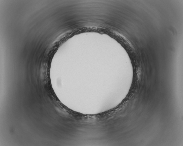 X0000112790968200910021056