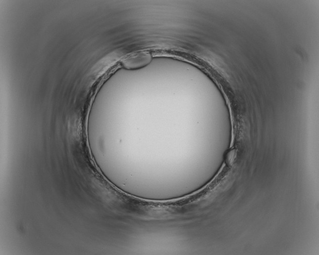 X0000112790969200910021056