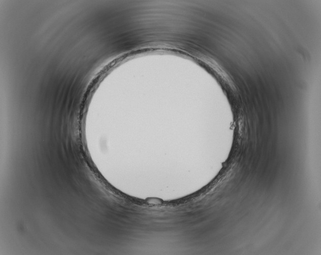 X0000112790972200910021056