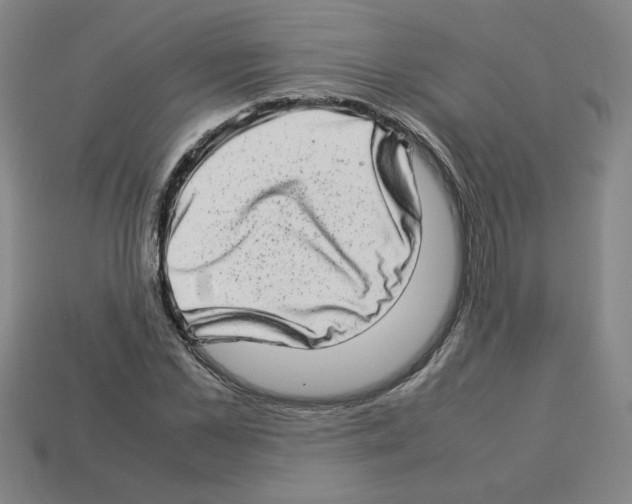 X0000112790973200910021056