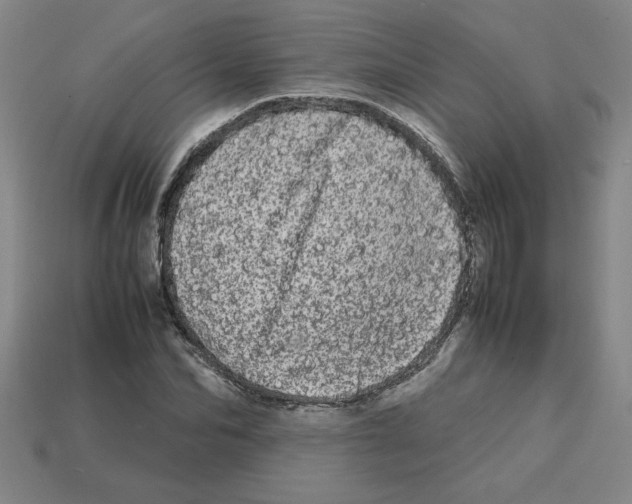 X0000112790974200910021056