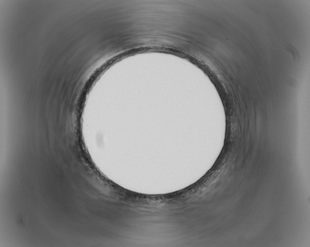 X0000112790975200910021056