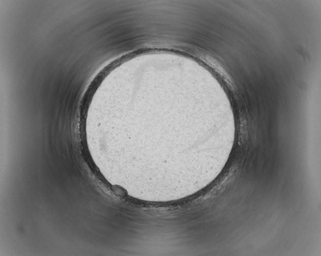 X0000112790976200910021056