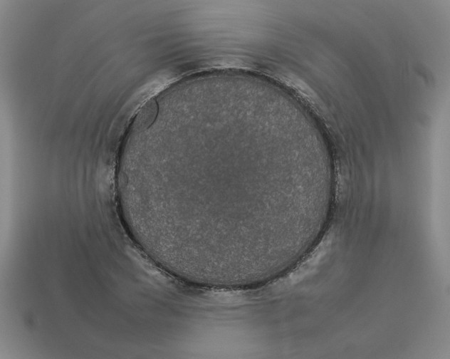 X0000112790977200910021056