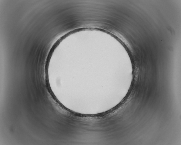 X0000112790980200910021056