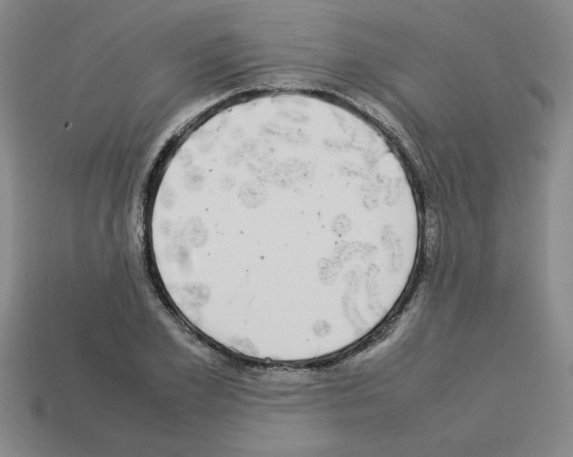 X0000112790981200910021056