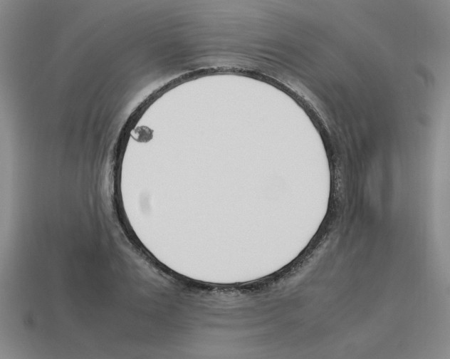 X0000112790983200910021055