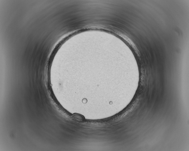 X0000112790984200910021055