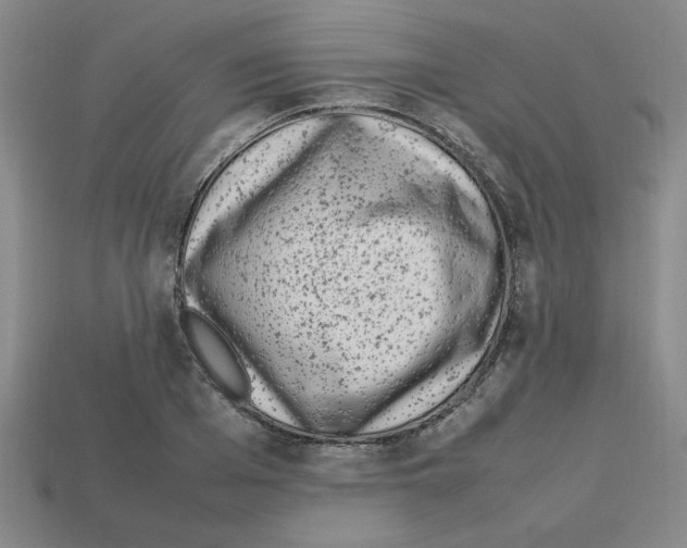 X0000112790985200910021055