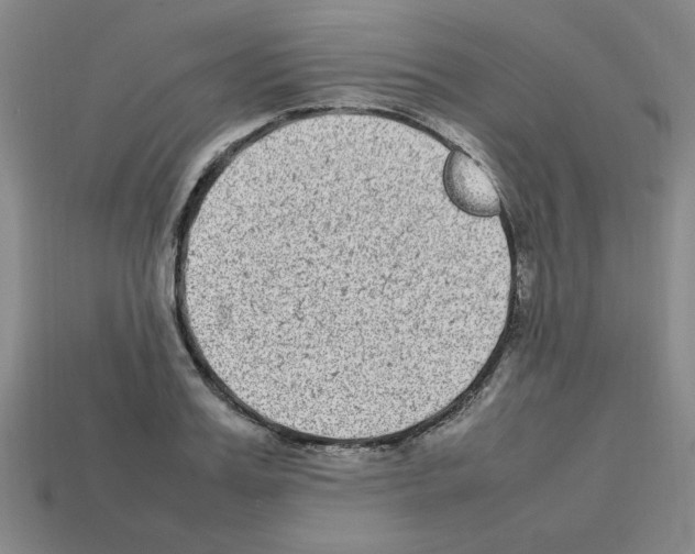 X0000112790987200910021055