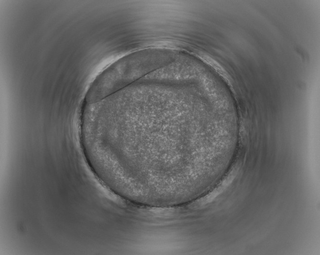 X0000112790989200910021055