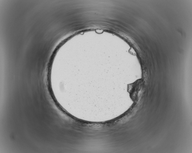 X0000112790991200910021055