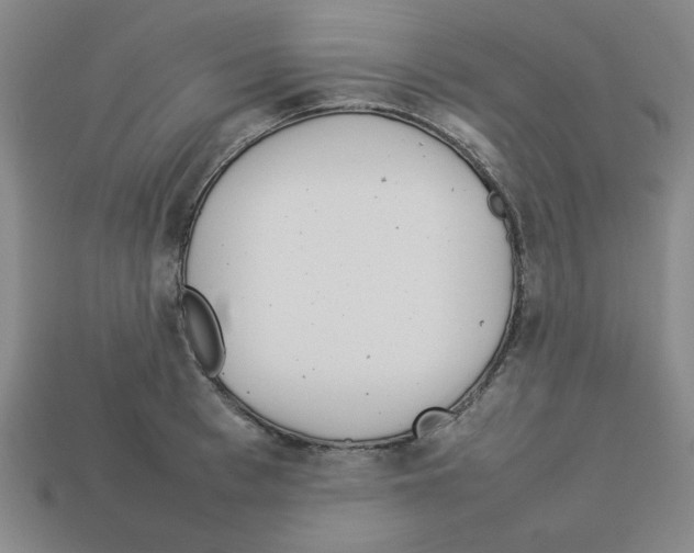 X0000112790993200910021055