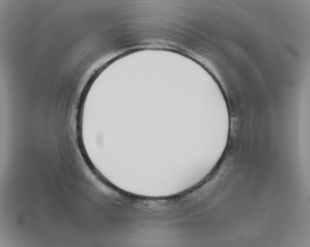 X0000112790995200910021055