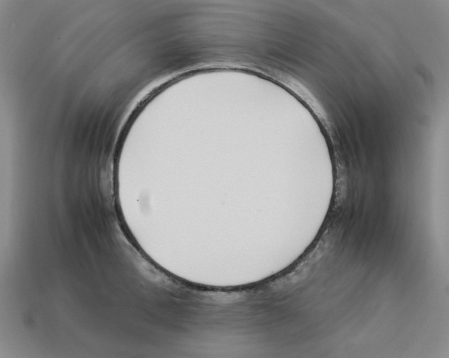 X0000112790996200910021055