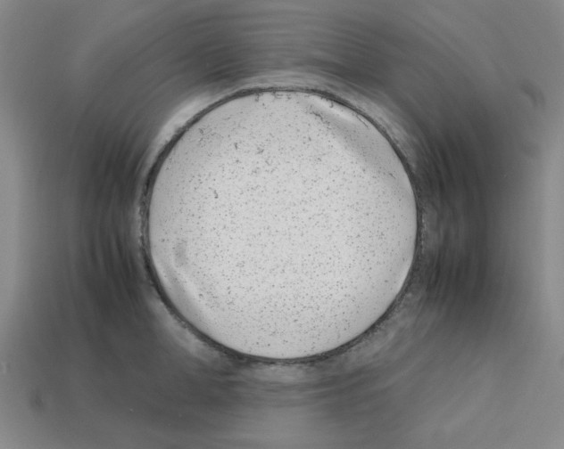 X0000112790998200910021055