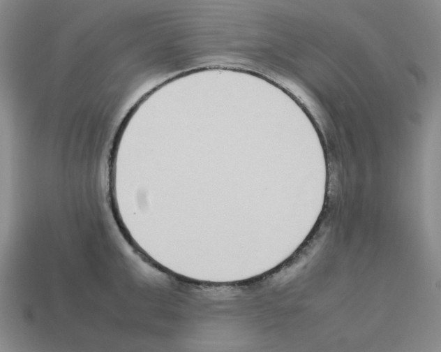 X0000112790999200910021055