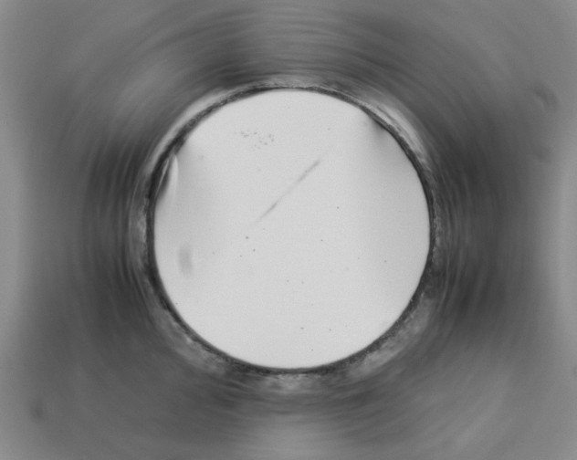 X0000112791000200910021055