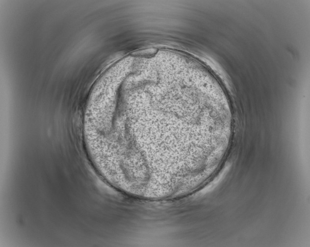 X0000112791001200910021055