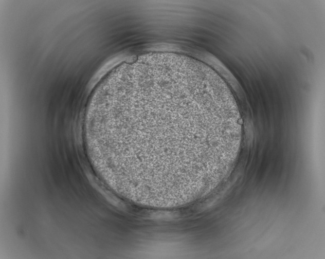 X0000112791002200910021055