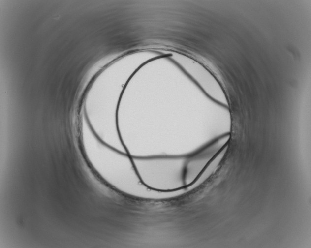 X0000112791003200910021055