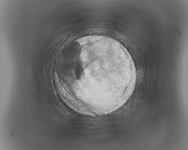 X0000112791009200910021055