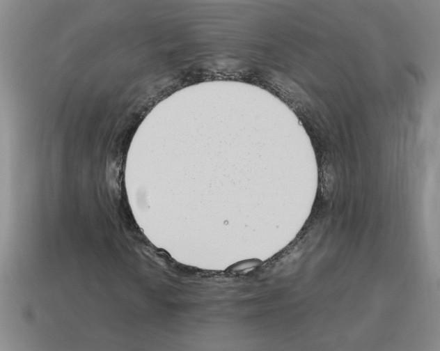 X0000112791010200910021055