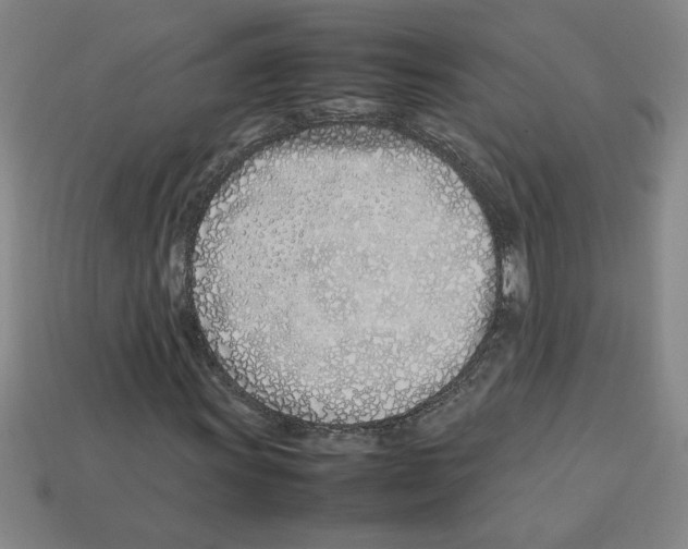 X0000112791011200910021055