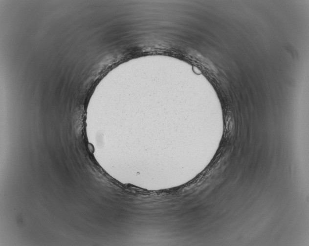 X0000112791012200910021055