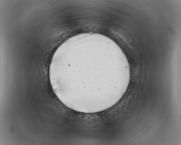 X0000112791013200910021055