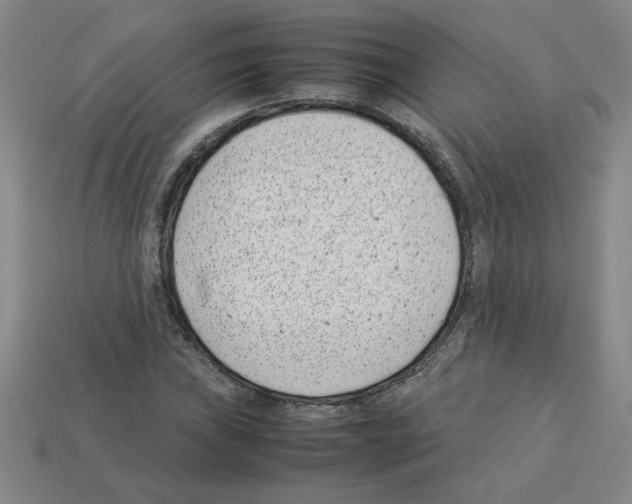 X0000112791019200910021055