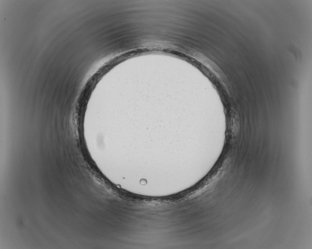 X0000112791022200910021055