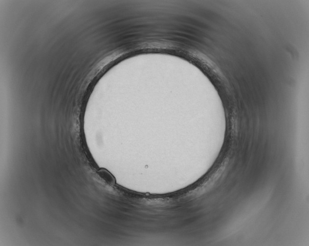 X0000112791025200910021055