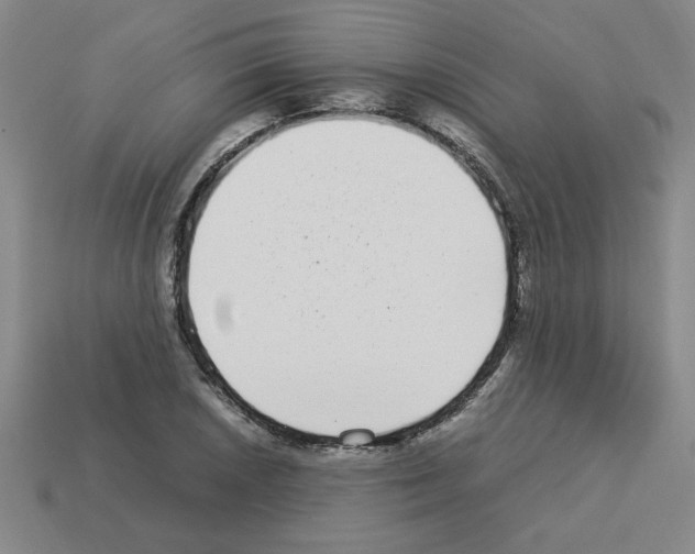 X0000112791026200910021055