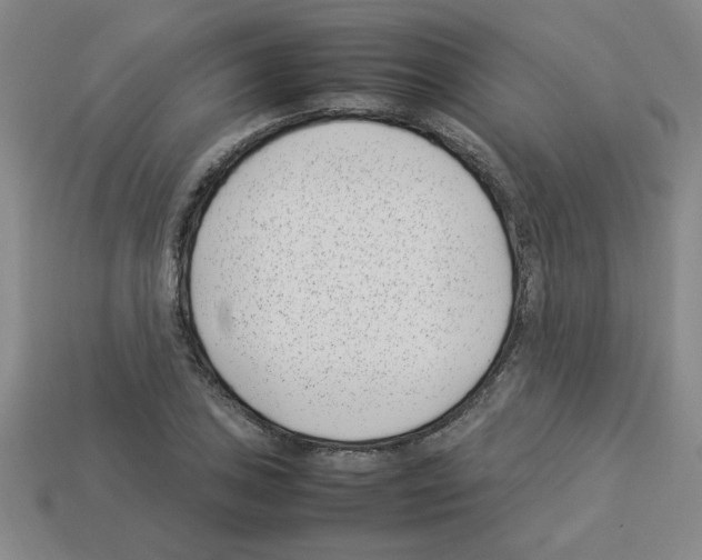 X0000112791027200910021055