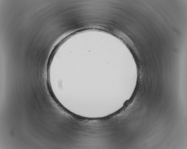 X0000112791028200910021055