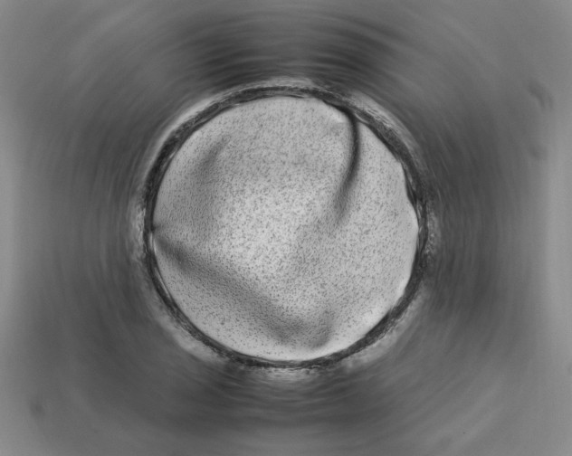 X0000112791029200910021055