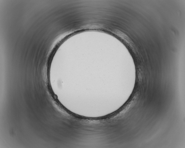 X0000112791030200910021055