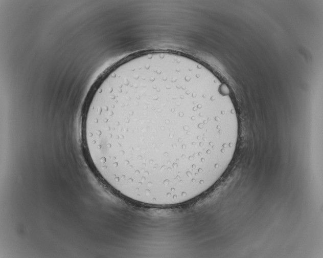 X0000112791032200910021055