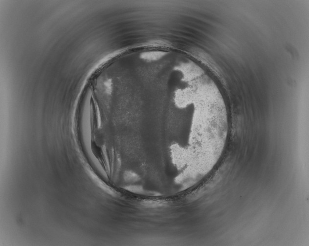 X0000112791037200910021055