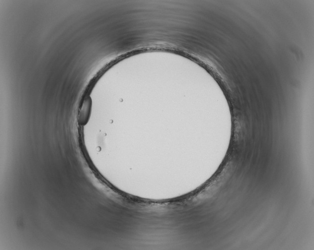 X0000112791038200910021055