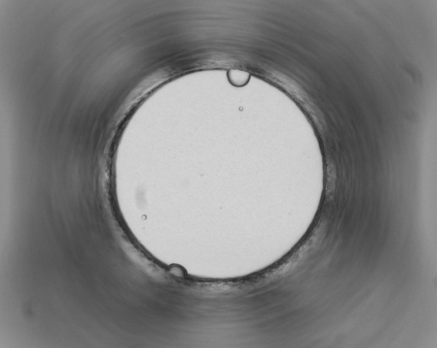 X0000112791042200910021055