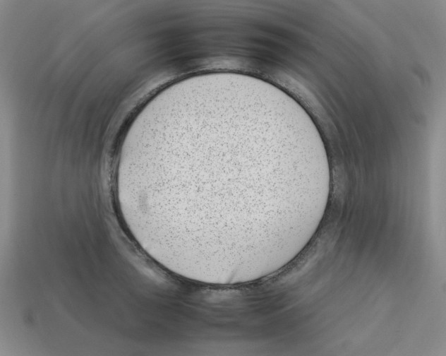 X0000112791043200910021055