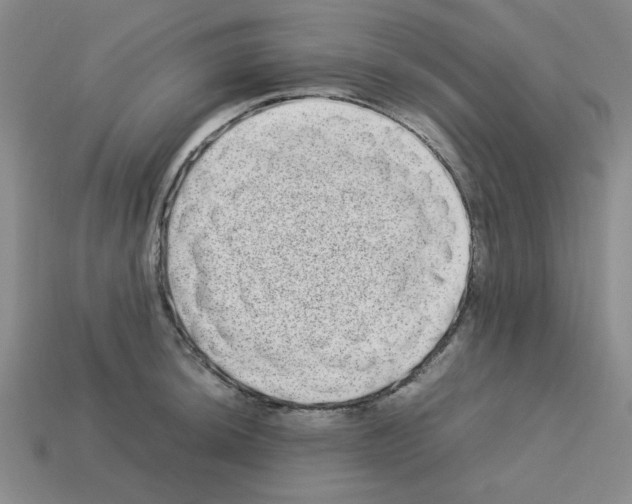 X0000112791044200910021055