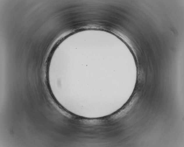 X0000112791045200910021055