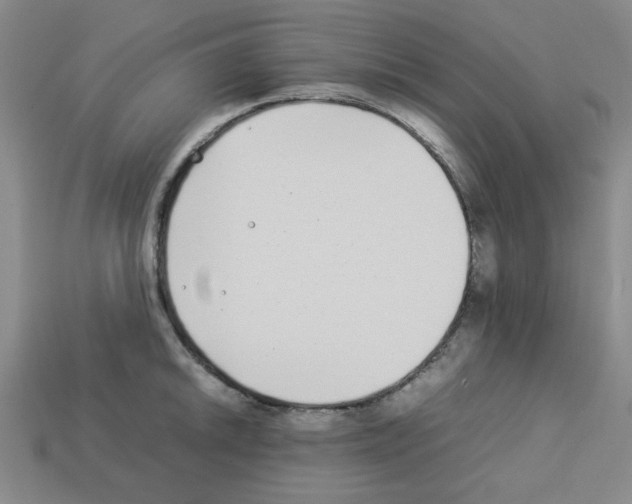 X0000112791046200910021055