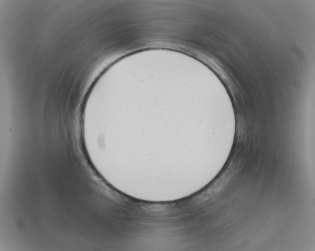 X0000112791048200910021055